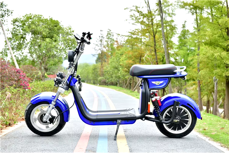 Electric scooter motorcycle eec coc e 1500W 60V 