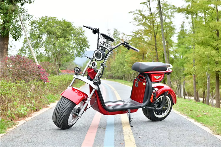 Electric scooter motorcycle eec coc e 1500W 60V 