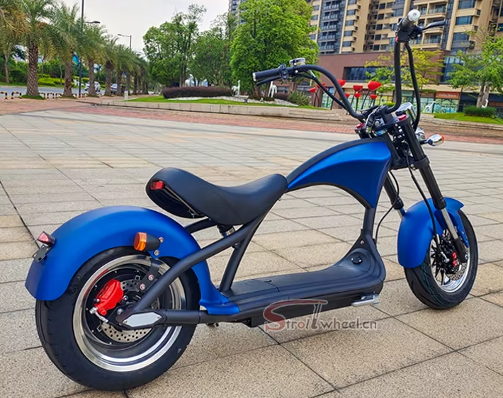 Citycoco Motorcycle 2000W 20AH Removable Battery Electric Scooter